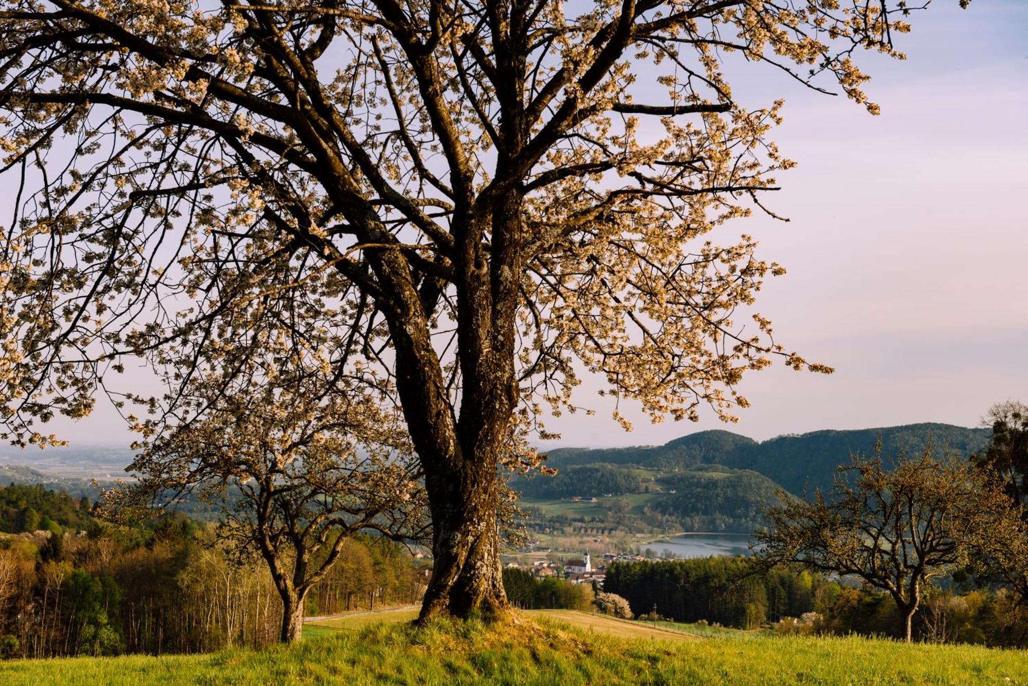 Landhaus Grete Stubenberg Kültér fotó