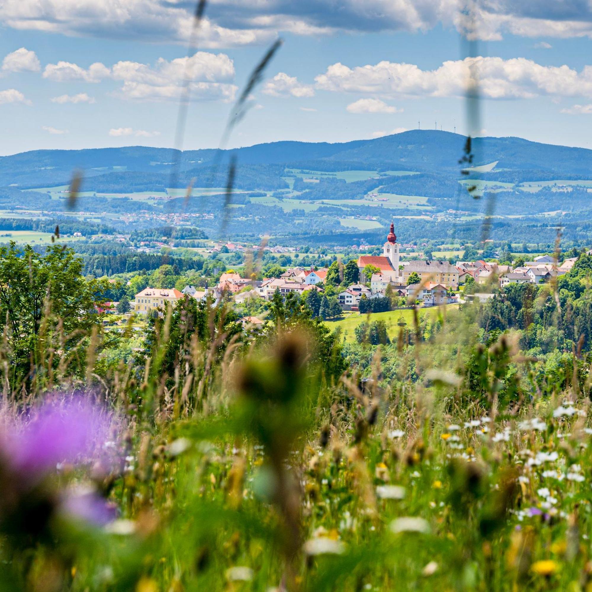 Landhaus Grete Stubenberg Kültér fotó