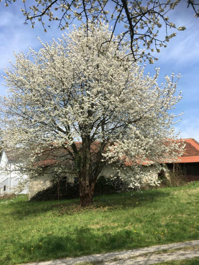 Landhaus Grete Stubenberg Kültér fotó